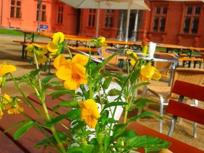 照片: Schlossbiergarten im Kurf&amp;uuml;rstlichen Schloss Mainz